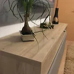 Dora City Apartament