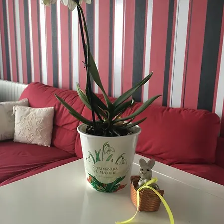 Dora City Apartament Cluj-Napoca