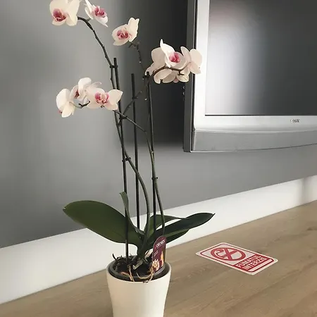 アパート Dora City Apartament *