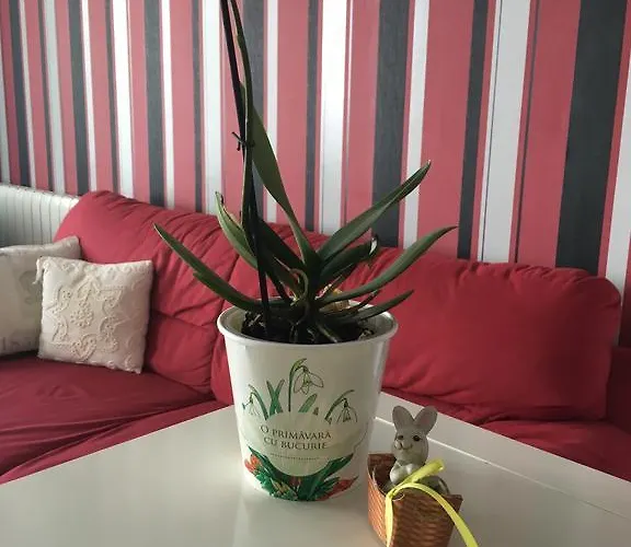 Dora City Apartament Kluž