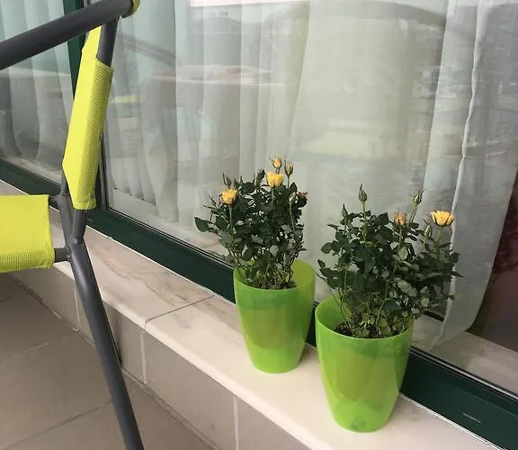 Apartament Dora City Apartament *