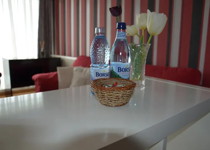 Dora City Apartament Cluj-Napoca