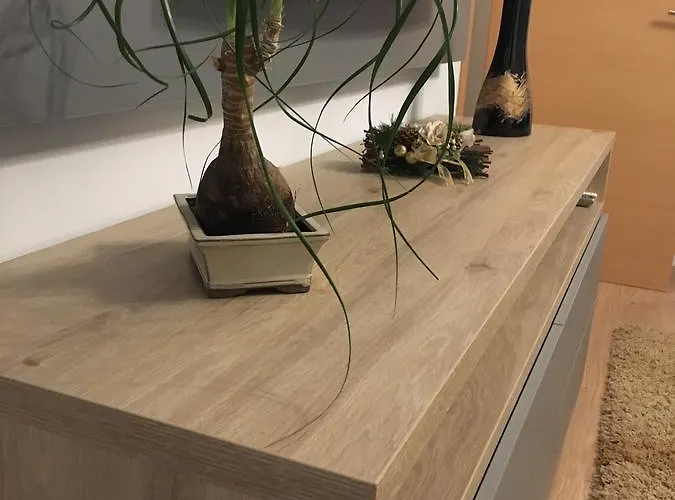 Dora City Apartament